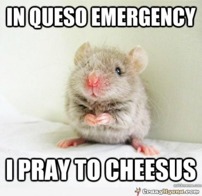 I-Pray-To-Cheesus-Funny-Hamster-Meme-Image
