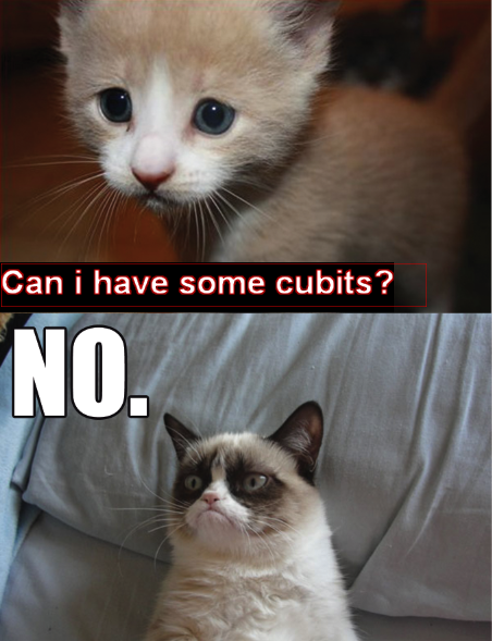 grumpy cat(cubic castles meme)