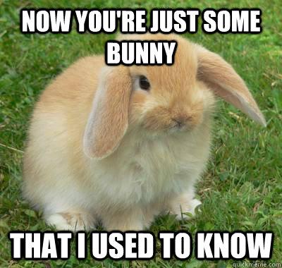 Funny-Bunny-Meme-Now-You-Are-Just-Some-Bunny-That-I-Used-To-Know-Picture
