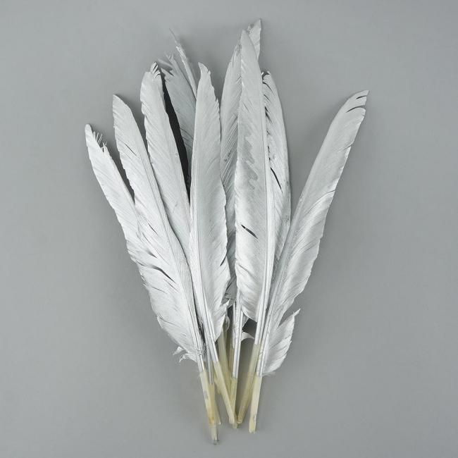 feathers!