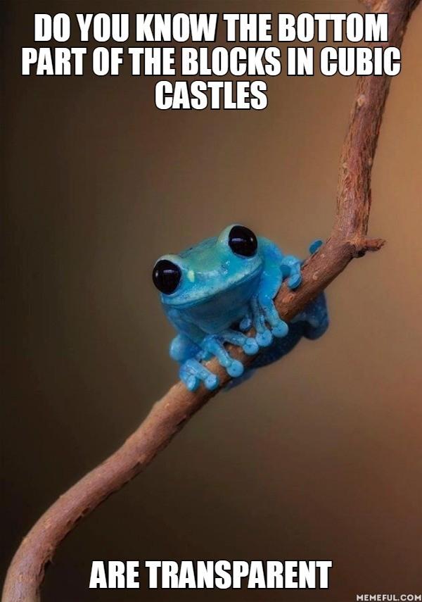Tiny-Fact-Frog
