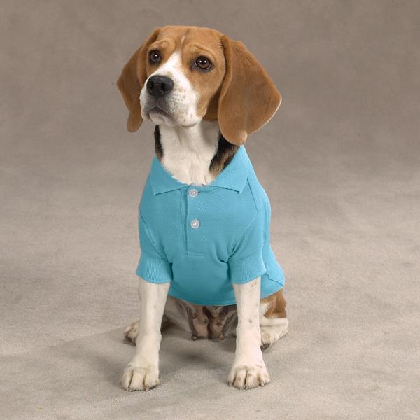 casual-canine-basic-polo-dog-shirt-air-blue-1